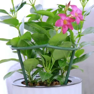 2/6Pcs Plant Support Pile Stand Semicircle Frame Fixed Rod Holder Gardening Arrangement Flower Vine Climbing Bracket Bonsai Tool