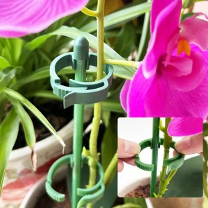 90/60/30cm Plant Support Stakes Adjustab Garden Single Stem Flower Stand Plant Stick Support Potted  for Plants Floral Vegetable