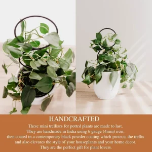 Plant Climbing Rack Plant Trellis Garden Plant Support Stake Stand Metal Vine Growth Flower Rattan Climbing Rack Garden Supplies