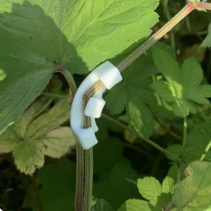 10/20/50pcs 90 Degree Plant Benders Trainer Growth Manipulation Tutors For Plants Clips Bending Twig Clamps Branche Accessories