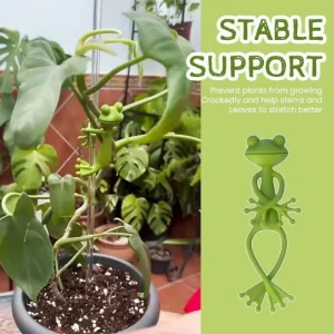 Support for Plants Accessories Tomato Plant Support Gardening Supplies Garden Gadgets Garden Pots & Planters Plant Stand Indoor