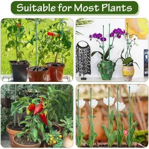 Plant Stakes Adjustable Plant Support Stakes Designed for Medium and Small Indoor Plants Garden Stakes for Strong Plant Support