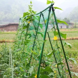 36 Strands of 10x10cm Cell Plant Climbing Net Garden plant Shelves Net Vegetable Flower Net Garden Weaving Grow Frame