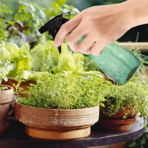500ml Sprayer Bottle Plant Flower Watering Cans Manual Mist Water Spray Pot Household Garden Watering Irrigation Tools