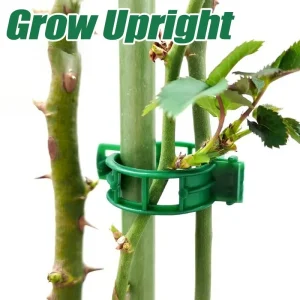 10-500Pcs Garden Plant Support Clips Secured Plastic Climbing Plant Clips Tomato Grape Vine Vegetables Plant Fixing Holders