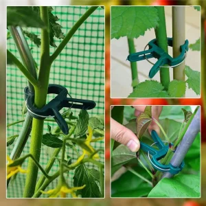 Plant Fixed Clips Reusable Greenhouse Bracket forFixing Stems of Flower Vine Vegetables Tomatoes Fastener Garden Supplies