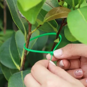 300/50PCS Self-locking Plastic Nylon Tie Green Cable Tie Fastening Ring Sealing Wraps Strap for Home Garden Plant Fasten Tools
