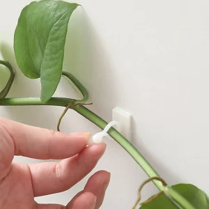 10pcs-Home Garden Plant Climbing Wall Fixture Clips Rattan Vine Fixer Self-Adhesive Plant Climbing Wall Fixed Buckle Hook