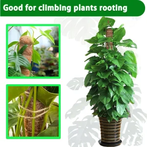 38/43/53CM Plant Climbing Coir Totem Pole Safe Gardening Coconut Stick For Climbing Plants Vines And Creepers Plant Support
