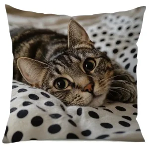 Vibrant Bohemian Style Short Plush Pillow Cover 45x45cm Charming Kitten Living Room Bedroom Decor
