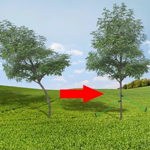 5/10pcs Windproof Tree Belt Anti-Hurricane Stereotyped Nylon Fixed Strap Newly Planted Branch Belt Tree Straightening Supporter