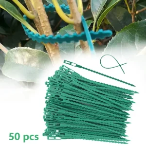 50pcs Adjustable Plastic Plant Cable Ties Reusable for Garden Supplies Tree Climbing Support Plant Vine Tomato Stem Clip ribbon