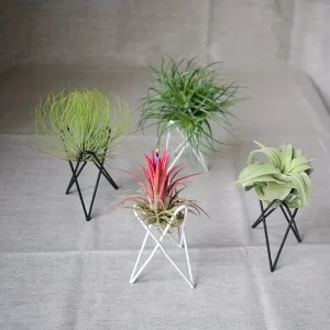 1Pcs Creative Plants lron Bracket Indoor Air Pineapple Green Soilless Potted BlackWhite Desktop stent Home Garden Supplies