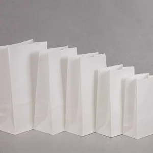 50/100pcs Lunch Paper Bags Kraft Paper Bags Recyclable Snack Bags Grocery Bags for Candy Sandwich Bread Food Storage