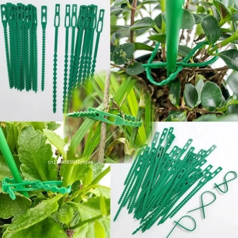 50-1000pcs Adjustable Plastic Plant Cable Ties Reusable Cable Ties for Garden Tree Climbing Support Plant Vine Tomato Stem Clip - الصورة 5