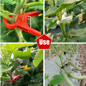 20/50/100Pcs Garden Plant Support Clips Tomatoes Vine Buckle Flower Clamp Cucumber Grape Climbing Tool Gardening Supplies