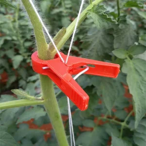 20/50/100Pcs Garden Plant Support Clips Tomatoes Vine Buckle Flower Clamp Cucumber Grape Climbing Tool Gardening Supplies