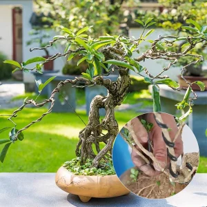 10 M Bonsai Wires Aluminum Bonsai Training Wires Modeling Orchard And Garden Tools Plant DIY Shape Accessories 1Mm-3Mm Home Use