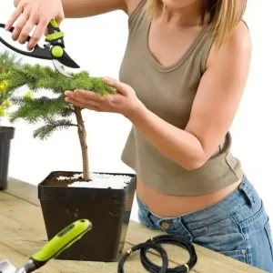 10/5M Aluminum Bonsai Wires Plant Support Training Wires Support Bend Fixing Strings Wire DIY Shape Branches Garden Accessories
