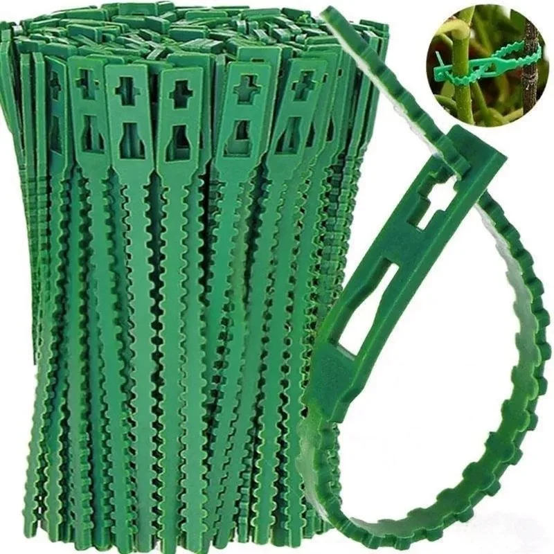 50-1000pcs Adjustable Plastic Plant Cable Ties Reusable Cable Ties for Garden Tree Climbing Support Plant Vine Tomato Stem Clip - الصورة 7