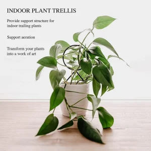 Plant Climbing Rack Plant Trellis Garden Plant Support Stake Stand Metal Vine Growth Flower Rattan Climbing Rack Garden Supplies