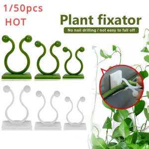 1/30/50Pcs For Garden Accsesories Plant Garden Pots & Planters Climbing Wall Outdoor Decors Lamp Support for Plants Clip Vine