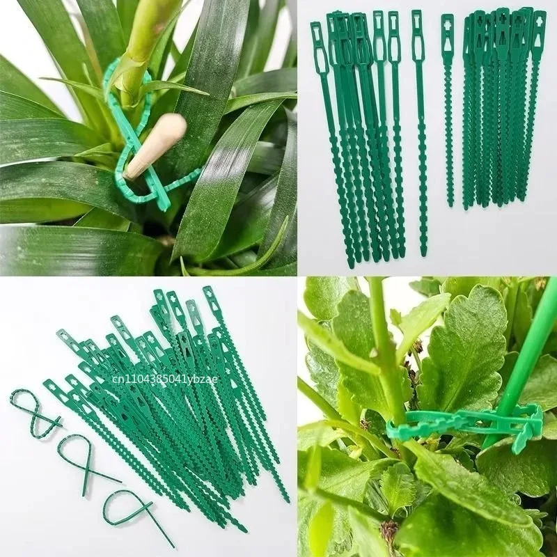 50-1000pcs Adjustable Plastic Plant Cable Ties Reusable Cable Ties for Garden Tree Climbing Support Plant Vine Tomato Stem Clip - الصورة 6