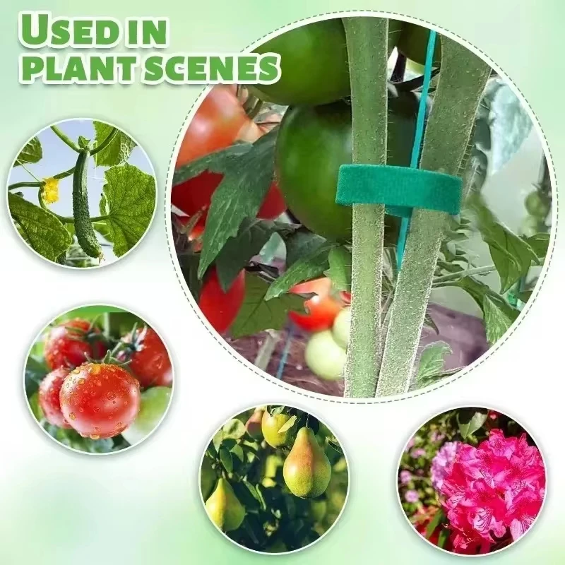 Nylon Plant Support Tape Self Adhesive Plant Fixing Cable Tie For Garden Reusable Plants Hook Loop Horticulture Straps Supplies - الصورة 4