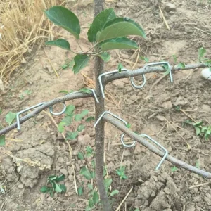 30/50Pcs 4 Size Reusable Branch Limb Spreader Garden Yard Trees Branches Fixator Strong Fruit Tree Support Holder Vine Trainers