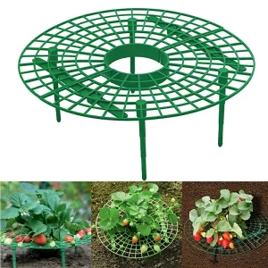 5/10pcs Green Strawberry Planting Rack with 3 Sturdy Stands Versatile Plant for Berries and Small Plants Plant Stand