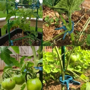 100x Plant Fixed Clips Reusable Greenhouse Bracket forFixing Stems of Flower Vine Vegetables Tomatoes Fastener Garden Supplies