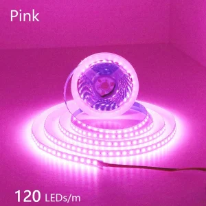 24V 12V LED Strip 2835 120LEDs/m Home Lamp Strip Pink Red Ice Blue Green Golden Yellow Orange Flexible Waterproof Soft Lamp Bar