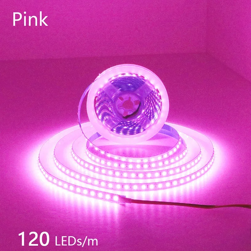 24V 12V LED Strip 2835 120LEDs/m Home Lamp Strip Pink Red Ice Blue Green Golden Yellow Orange Flexible Waterproof Soft Lamp Bar - الصورة 31