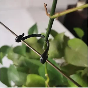100pcs Plant Vine Binding Clip Fixing Clip Gardening Plant Support Clip Climbing Vine Sticky Wall Clip Plant Clip