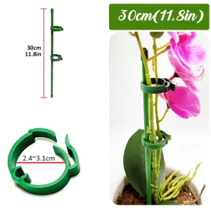 90/60/30cm Plant Support Stakes Adjustab Garden Single Stem Flower Stand Plant Stick Support Potted  for Plants Floral Vegetable