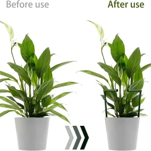 2/6Pcs Plant Support Pile Stand Semicircle Frame Fixed Rod Holder Gardening Arrangement Flower Vine Climbing Bracket Bonsai Tool