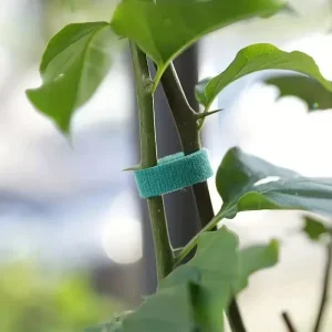 Nylon Plant Support Tape Self Adhesive Plant Fixing Cable Tie For Garden Reusable Plants Hook Loop Horticulture Straps Supplies