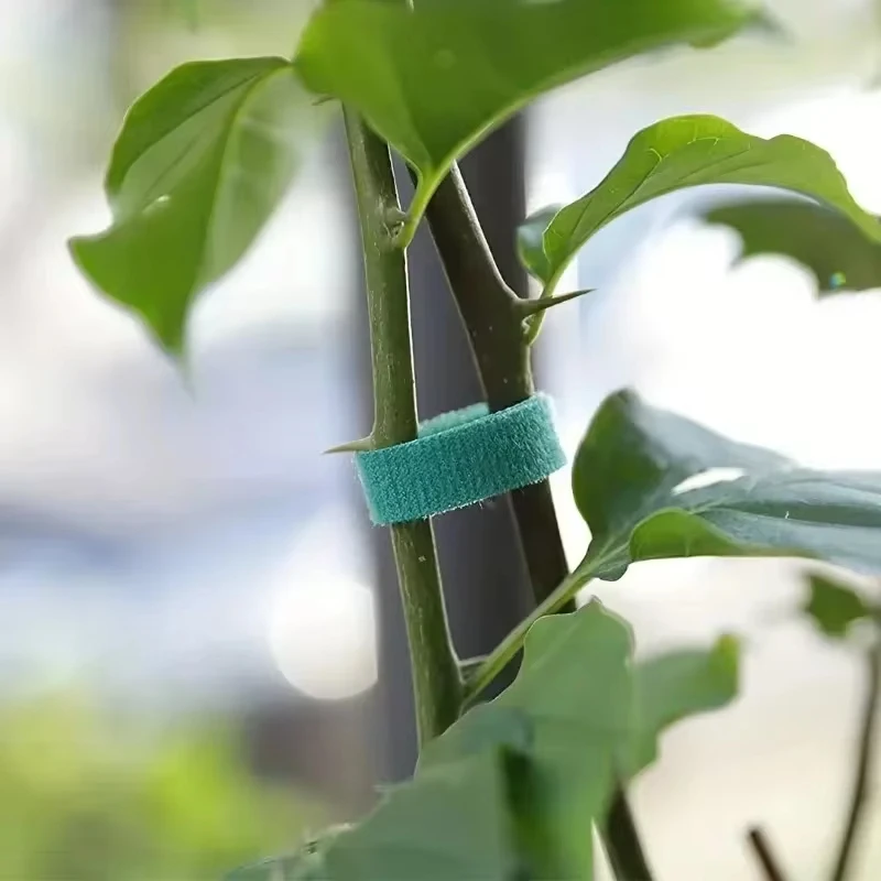 Nylon Plant Support Tape Self Adhesive Plant Fixing Cable Tie For Garden Reusable Plants Hook Loop Horticulture Straps Supplies - الصورة 5
