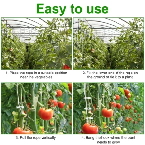 10pcs Tomato Roller Hook With 15m Rope Versatile Strong Load Bearing Flower Vine Crop Trellis Kit for Greenhouse Balcony