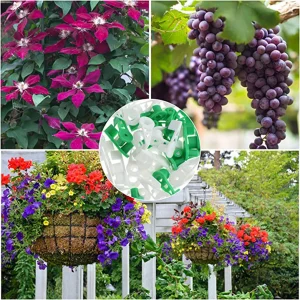 Plant Branches Bender Training Clips Garden Stem Trainer Clips 270 Degree Adjustable Planter Holder For Low Stress Training Tool