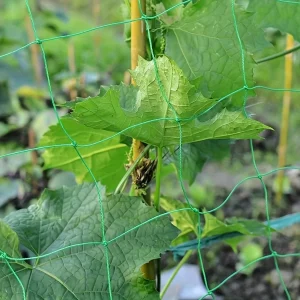 Heavy-Duty Garden Trellis Netting for Climbing Plants - Ideal for Cucumbers, Vines & Tomatoes, UV-Stabilized Polyethylene, 179.9