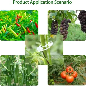 50-100Pcs Tomato Clips Plant Clips Vines Plastic Trellis Clips - Support Clips for Climbing Plants Cucumbers Peppers Vegetables