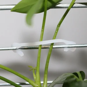 100pcs Plant Vine Binding Clip Fixing Clip Gardening Plant Support Clip Climbing Vine Sticky Wall Clip Plant Clip