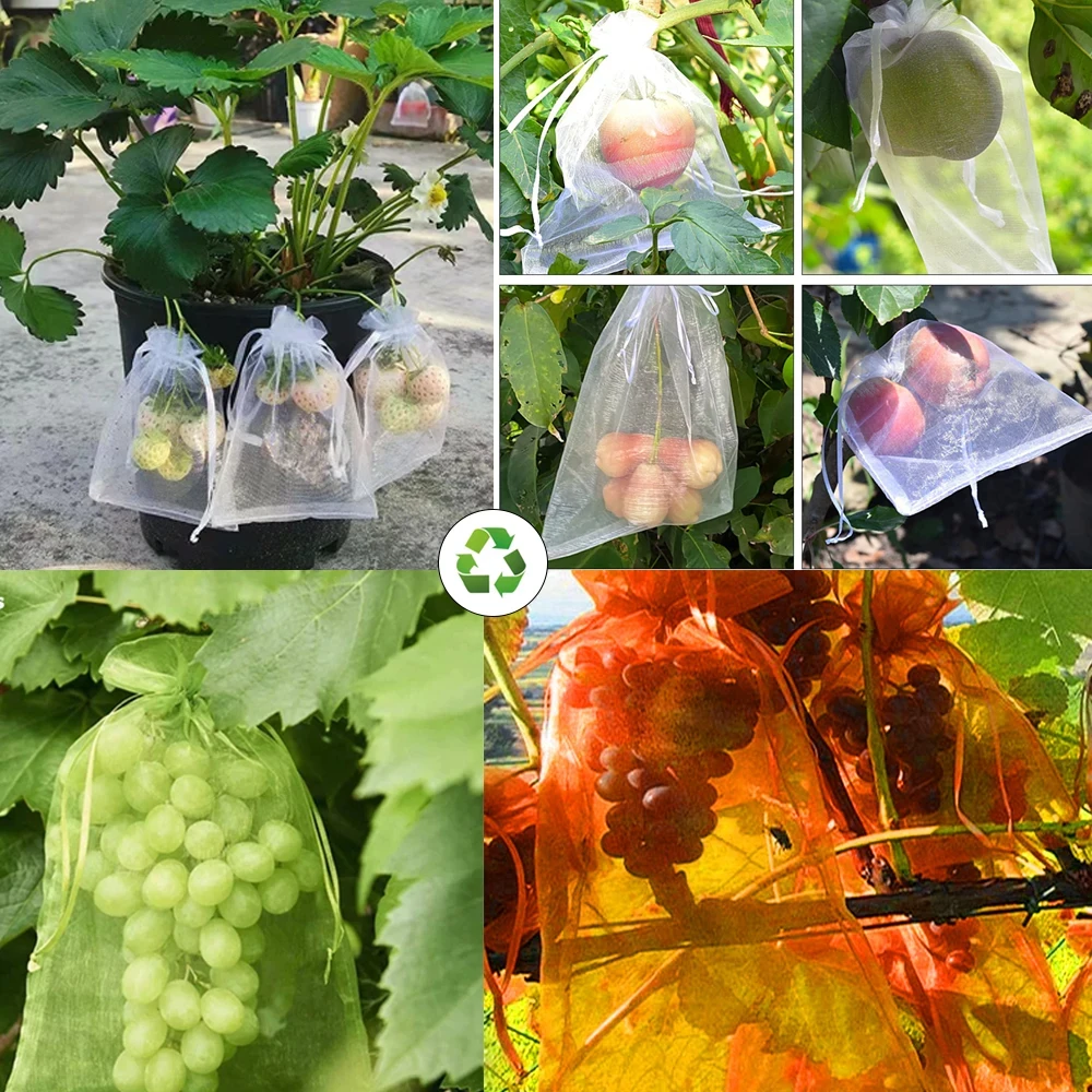 20-100PCS Vegetable Grapes Fruit Grow Bags Fruit Protection Bags Garden Anti-Bird Netting Mesh Bag Strawberry Bags Garden Tools - الصورة 5