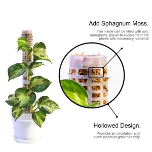 Plant Trellis Supporting Stick Plastic Moss Pole Indoor Plant Pot stand Green Dill Vine Garden Accessories