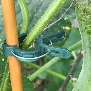 Plant Fixed Clips Reusable Greenhouse Bracket forFixing Stems of Flower Vine Vegetables Tomatoes Fastener Garden Supplies