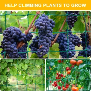36 Strands of 10x10cm Cell Plant Climbing Net Garden plant Shelves Net Vegetable Flower Net Garden Weaving Grow Frame