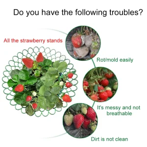 5PCS Strawberry Supports 3 Sturdy Support Feet Keeping Plant Fruit Stand Vegetable Growing Rack Garden Tool