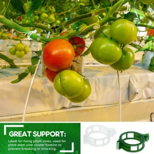 10-500Pcs Garden Plant Support Clips Secured Plastic Climbing Plant Clips Tomato Grape Vine Vegetables Plant Fixing Holders