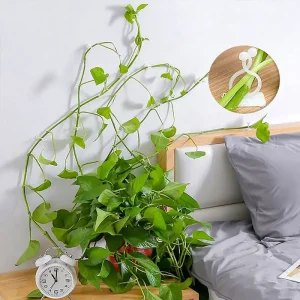 10/30/50pcs/Bag Plant Vine Climbing Clip Invisible Wall Self-adhesive Fixator Garden Plant Vine Climbing Fixed Support